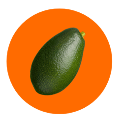 avocat