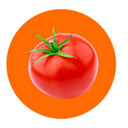 tomate